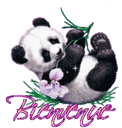 Gif animé bienvenue panda